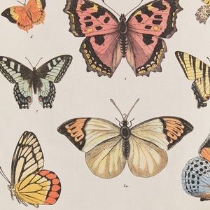 Meet your Posher, Chloe